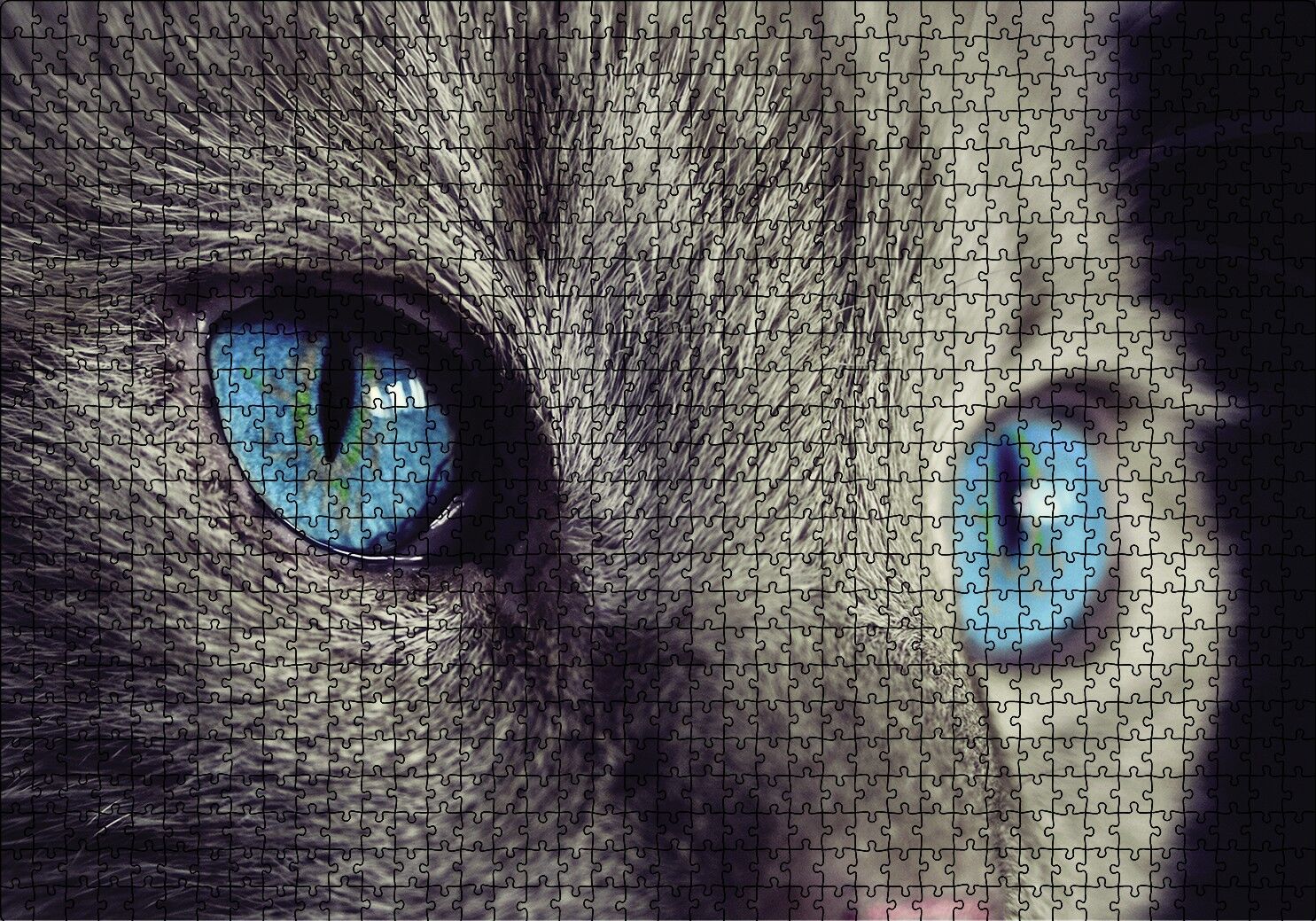 Mavi Gözlü Kedi Puzzle Yapboz MDF Ahşap 1000 Parça 49 cm X 68 cm
