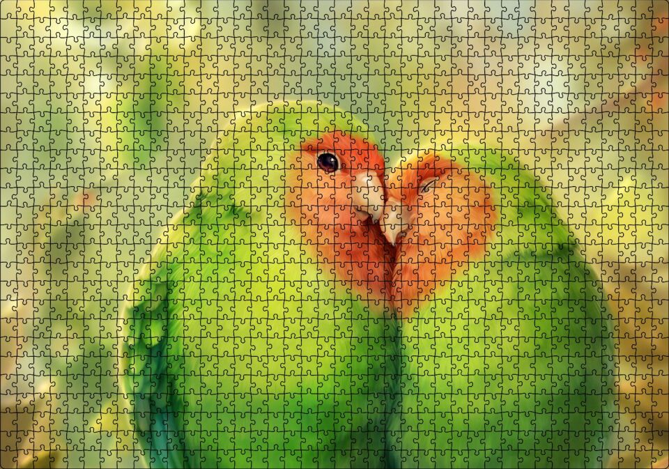 Sevda Kuşları Puzzle Yapboz MDF Ahşap 1000 Parça 49 cm X 68 cm