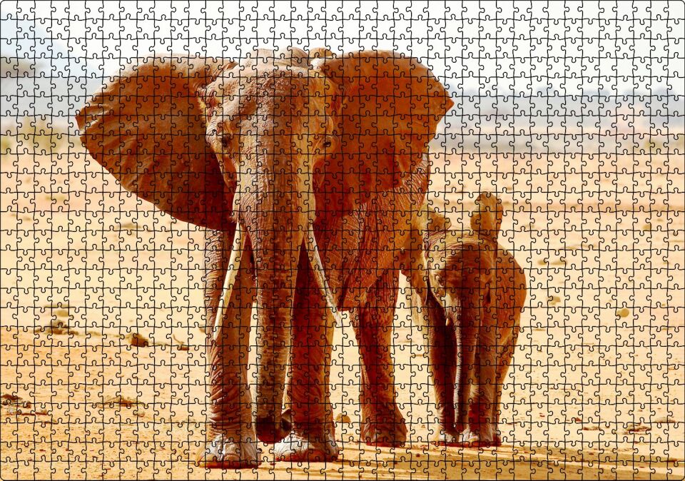 Afrika Savanada Anne Fil ve Yavrusu Puzzle Yapboz MDF Ahşap 1000 Parça 49 cm X 68 cm