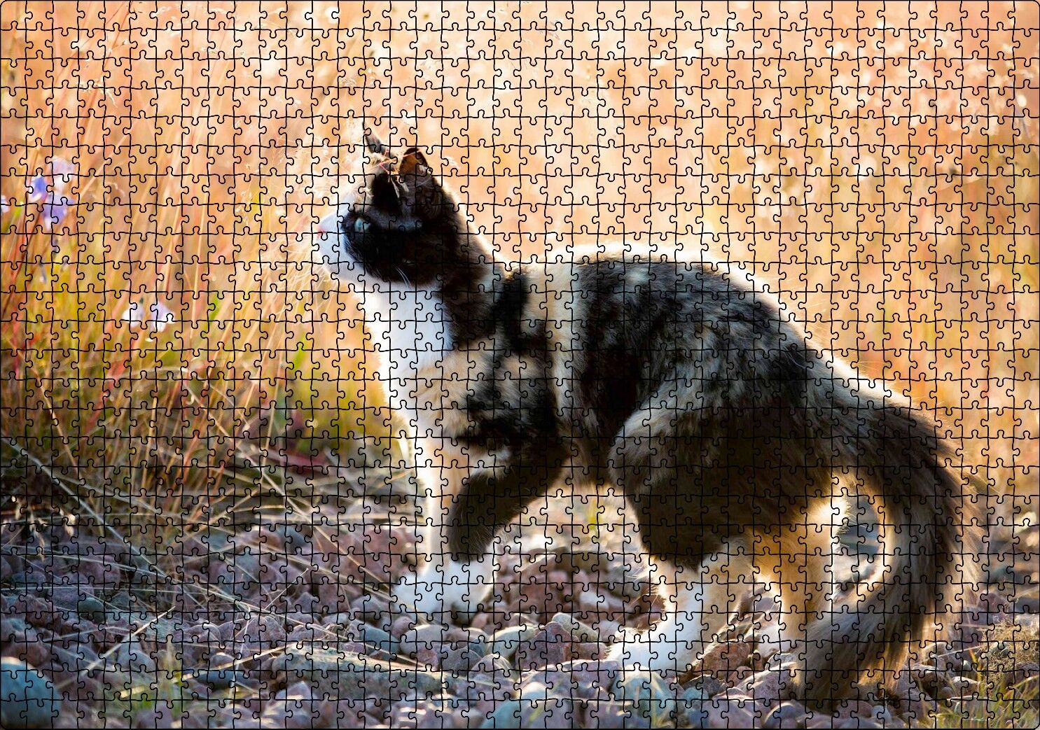 Taşların Üzerinde 3 Renk Kedi ve Sarı Otlar Puzzle Yapboz MDF Ahşap 1000 Parça 49 cm X 68 cm