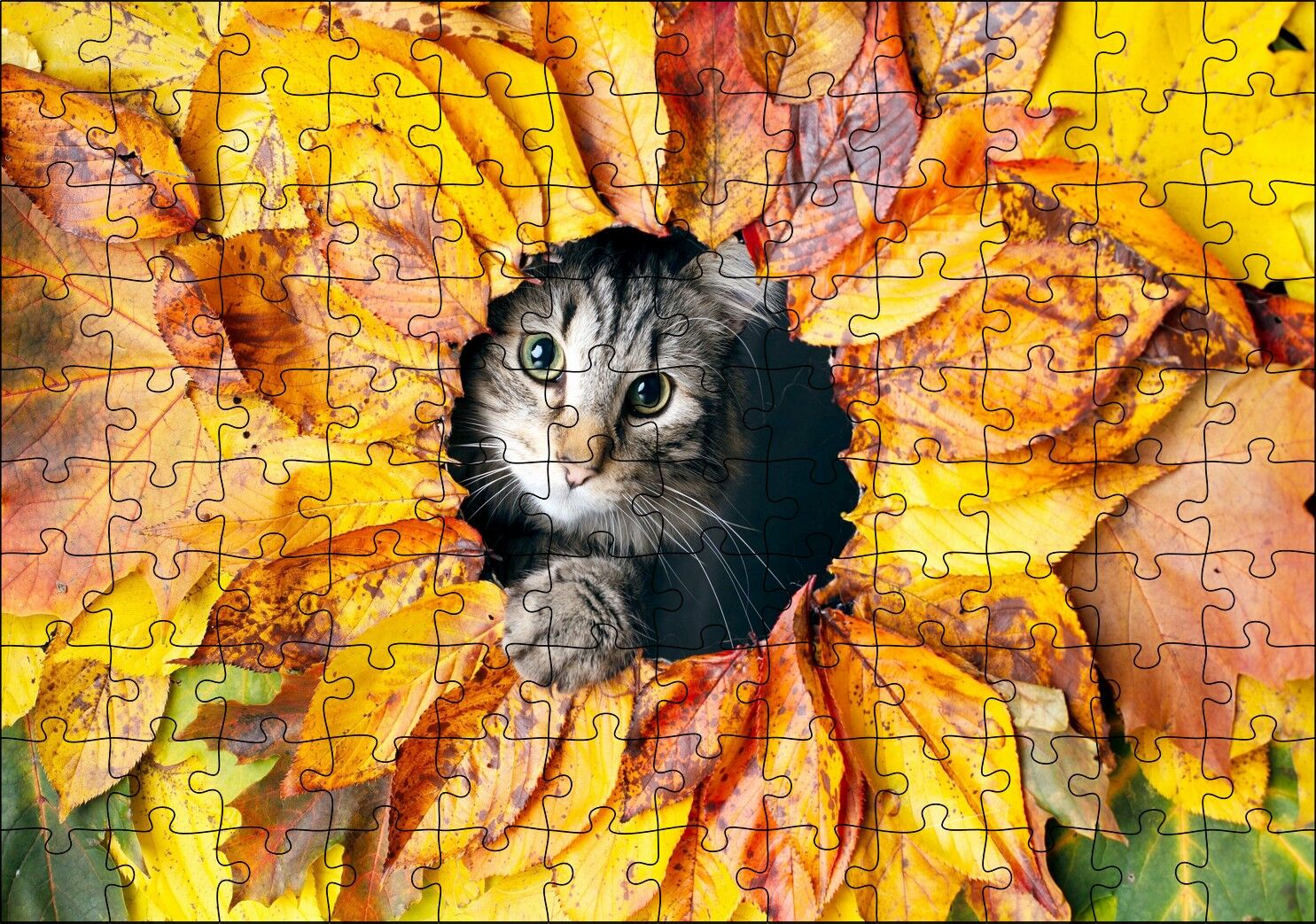 Sonbahar Rengi Yapraklar Arasındaki Kedi Puzzle Yapboz MDF Ahşap