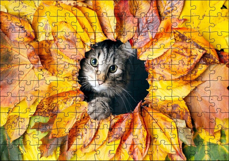 Sonbahar Rengi Yapraklar Arasındaki Kedi Puzzle Yapboz MDF Ahşap