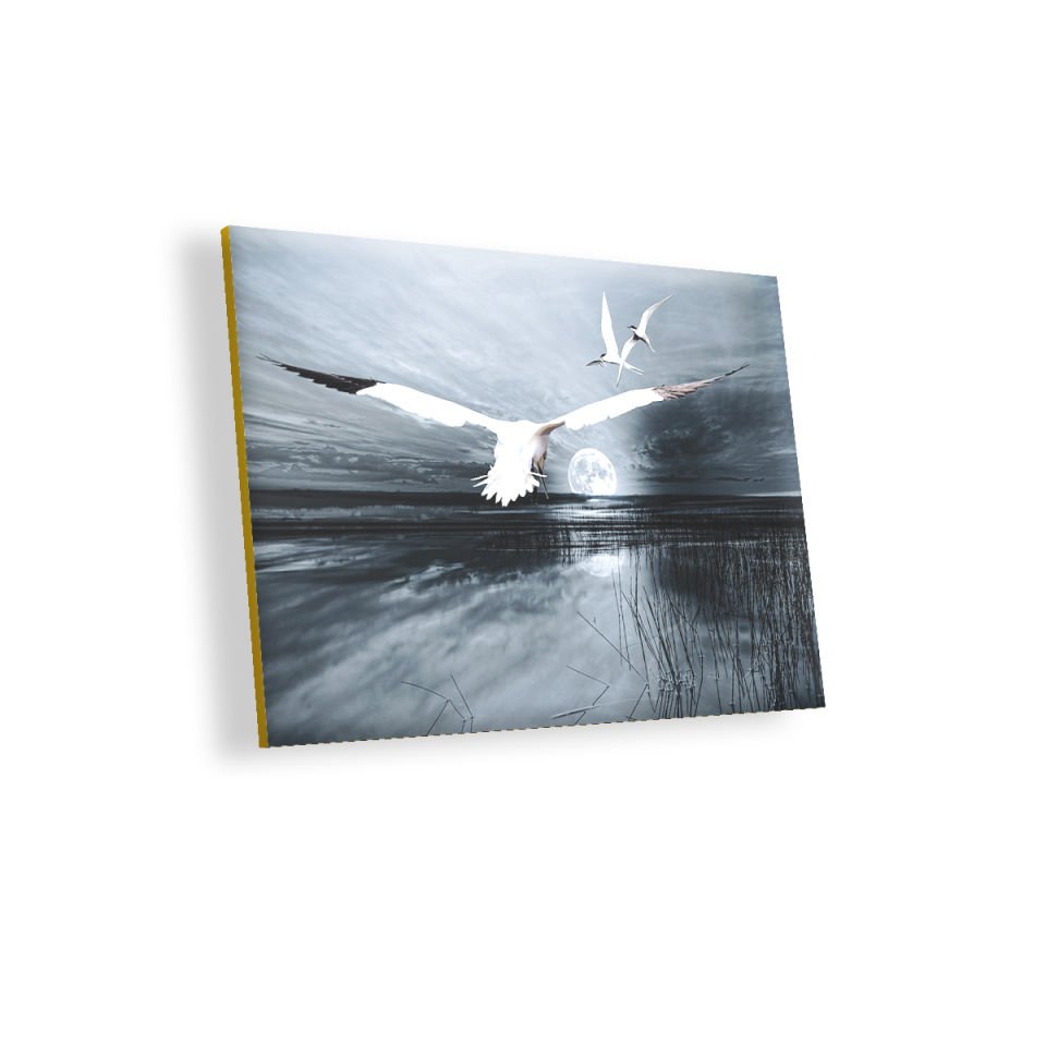 Gece Ay Göl Balıkçı Kuşları MDF Akşap Duvar Tablo 50x70 cm