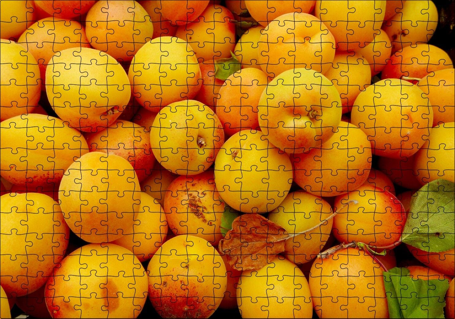 Taze Kayısılar Yanaşık Düzen Puzzle Yapboz MDF Ahşap 255 Parça 34 cm X 49 cm