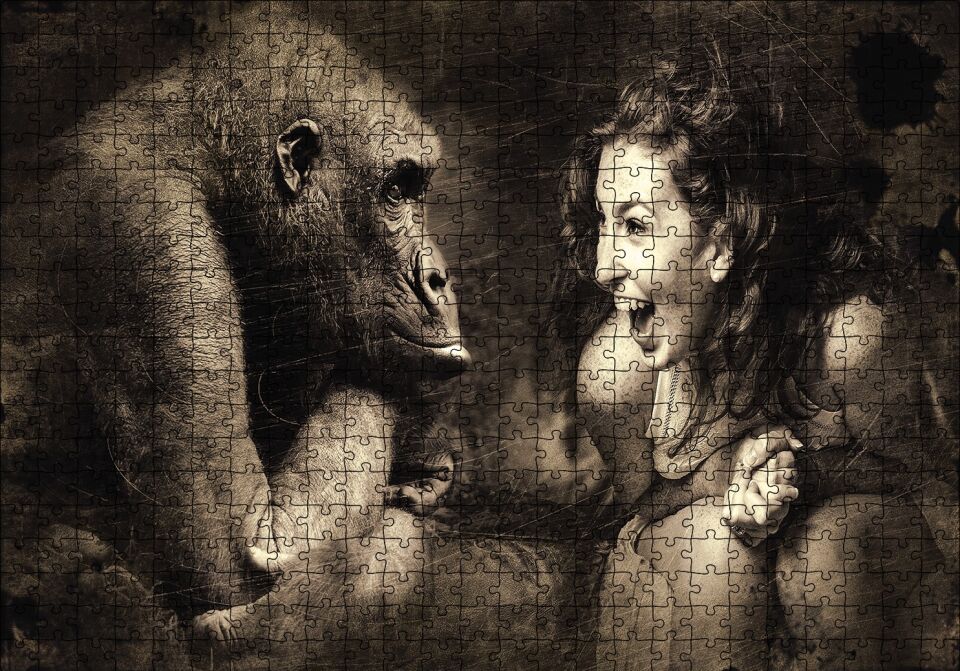 Maymun ve Gülümseyen kKadın Puzzle Yapboz MDF Ahşap 500 Parça 49 cm X 68 cm