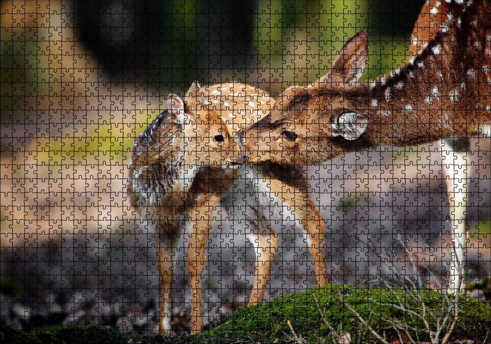 Anne Karaca ve Yavrusu Puzzle Yapboz MDF Ahşap 1000 Parça 49 cm X 68 cm