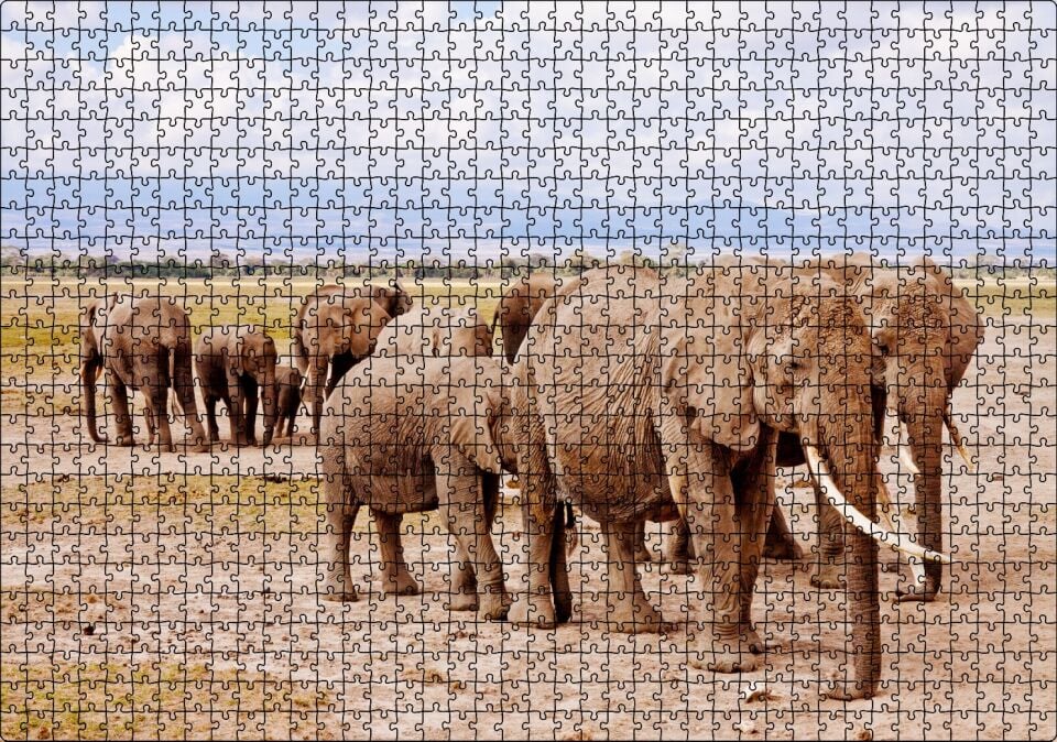 Afrika Savanada Filler Bir Arada Puzzle Yapboz MDF Ahşap 1000 Parça 49 cm X 68 cm