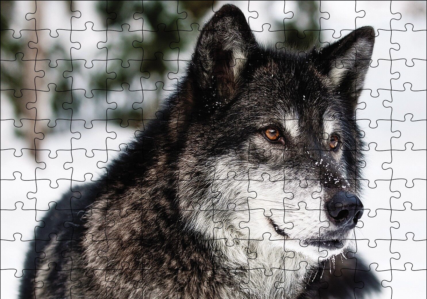 Karda Bozkurt Puzzle Yapboz MDF Ahşap