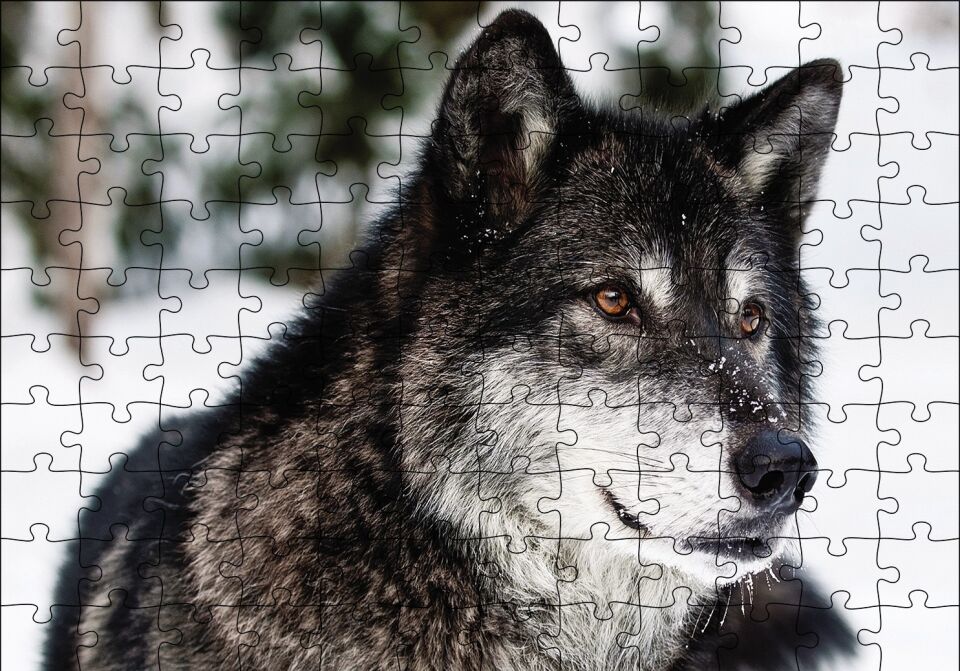 Karda Bozkurt Puzzle Yapboz MDF Ahşap