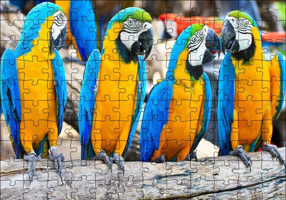 Daldaki Sarı Mavi Macaw Papağanları Puzzle Yapboz MDF Ahşap 120 Parça 24 cm X 34 cm