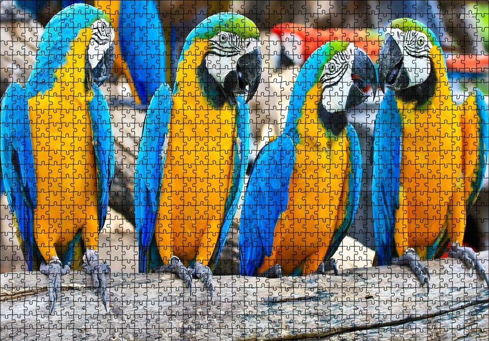 Daldaki Sarı Mavi Macaw Papağanları Puzzle Yapboz MDF Ahşap 1000 Parça 49 cm X 68 cm