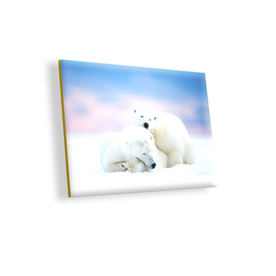 Beyaz Ayılar Kış MDF Akşap Duvar Tablo 50x70 cm