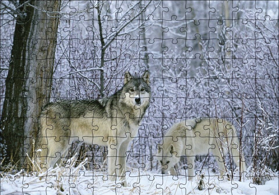 Kış Ormandaki Kurtlar Görseli Puzzle Yapboz MDF Ahşap