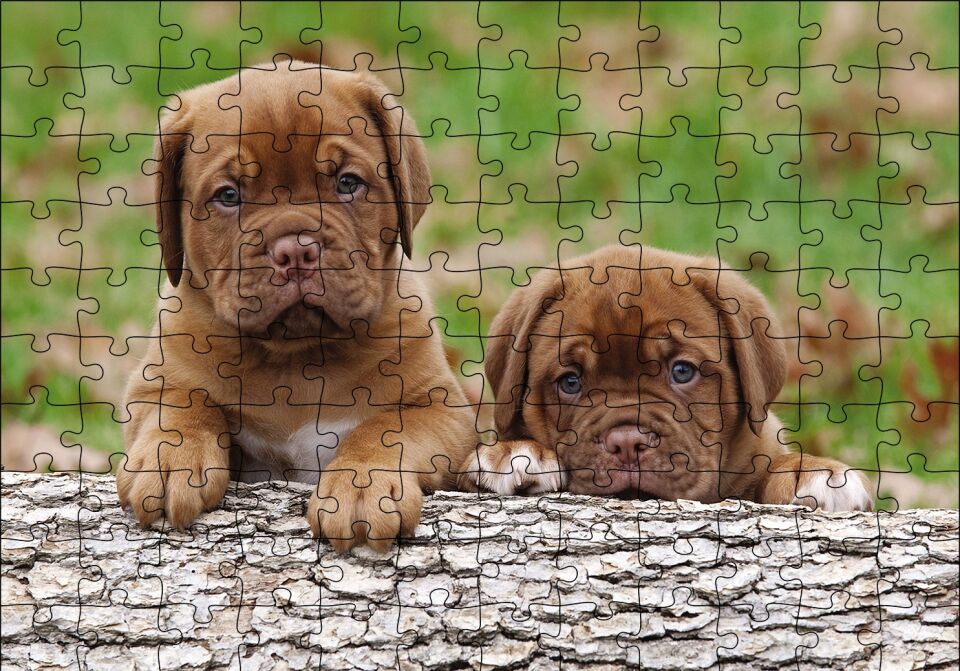 Meksika Yavru Köpekler Görseli Puzzle Yapboz MDF Ahşap