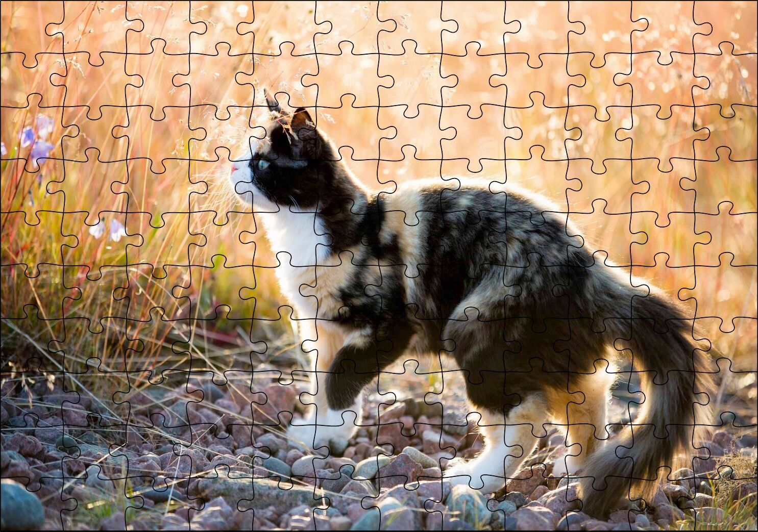 Taşların Üzerinde 3 Renk Kedi ve Sarı Otlar Puzzle Yapboz MDF Ahşap