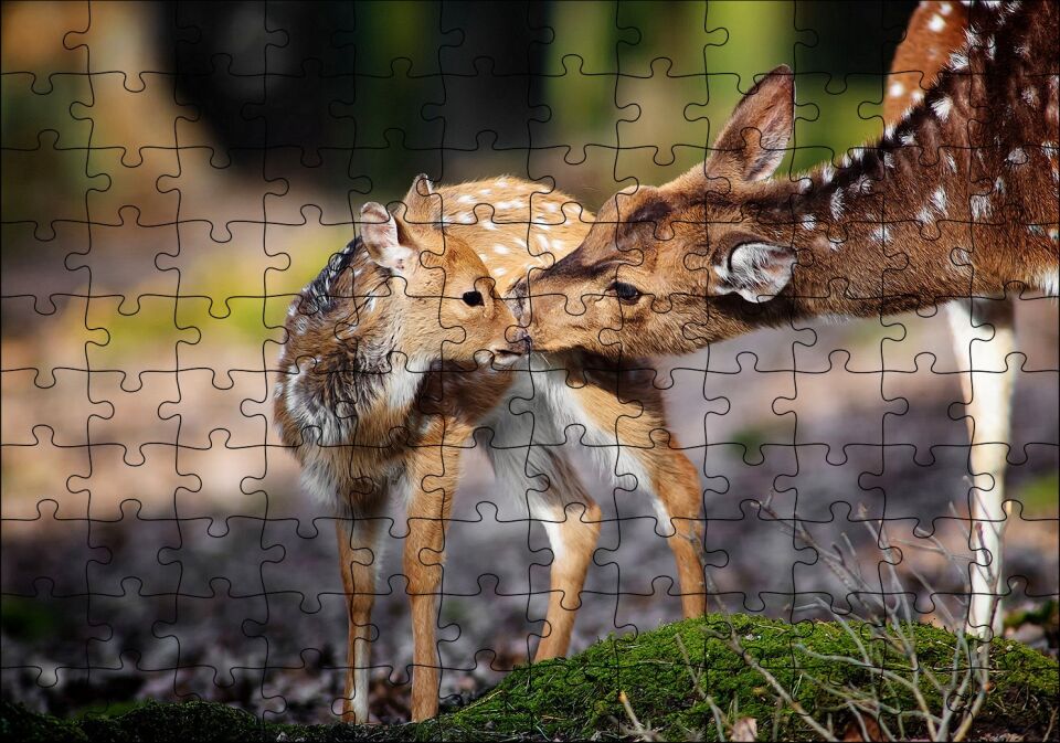 Anne Karaca ve Yavrusu Puzzle Yapboz MDF Ahşap
