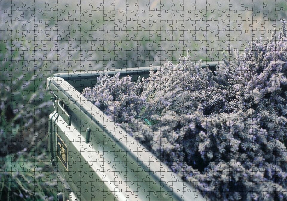 Kasada Lavantalar Puzzle Yapboz MDF Ahşap 500 Parça 49 cm X 68 cm
