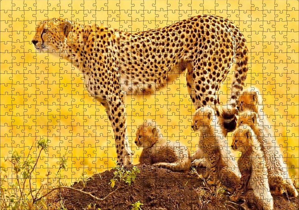 Atletik Çita ve Sevimli Yavruları Puzzle Yapboz MDF Ahşap 500 Parça 49 cm X 68 cm
