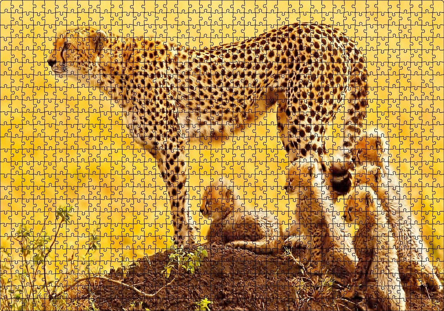 Atletik Çita ve Sevimli Yavruları Puzzle Yapboz MDF Ahşap 1000 Parça 49 cm X 68 cm