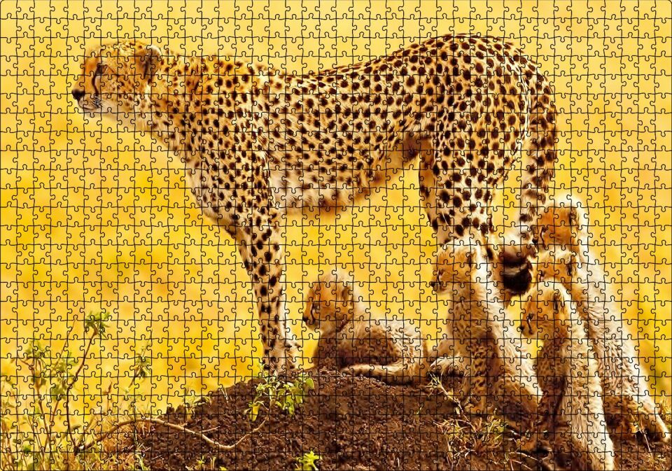 Atletik Çita ve Sevimli Yavruları Puzzle Yapboz MDF Ahşap 1000 Parça 49 cm X 68 cm