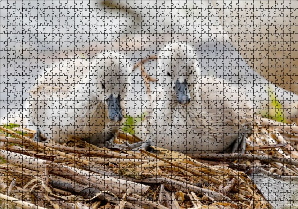 Anne Altında İki Sevimli Kuğu Yavrusu Puzzle Yapboz MDF Ahşap 1000 Parça 49 cm X 68 cm
