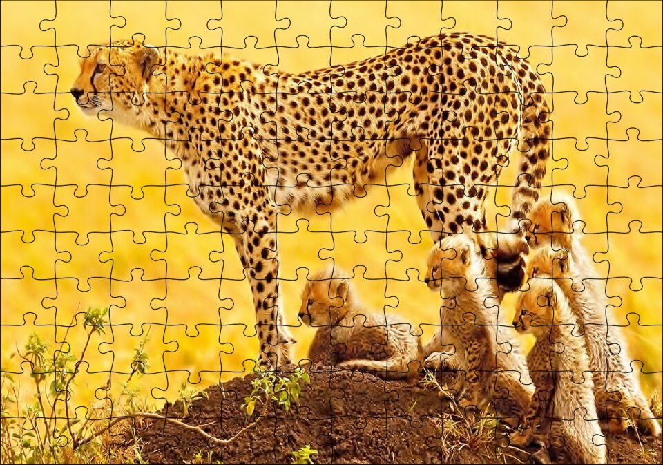 Atletik Çita ve Sevimli Yavruları Puzzle Yapboz MDF Ahşap