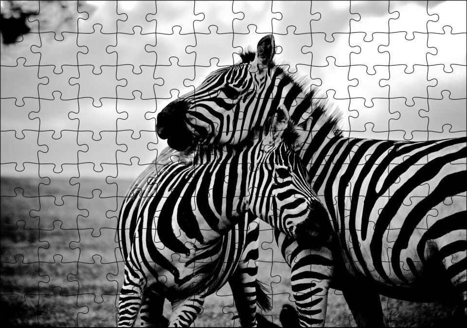 Anne Zebra ve Yavrusu Siyah Beyaz Puzzle Yapboz MDF Ahşap 120 Parça 24 cm X 34 cm