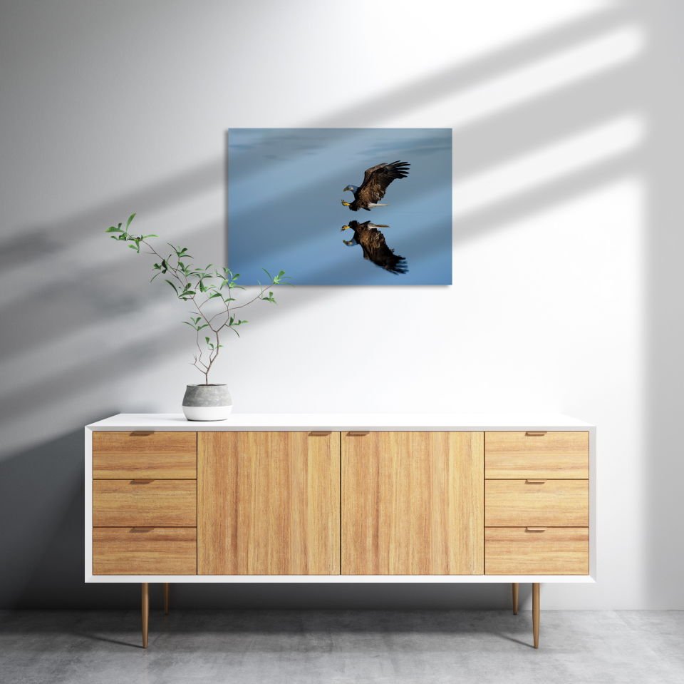 Beyaz Başlı Kartal Yansıma MDF Akşap Duvar Tablo 50x70 cm