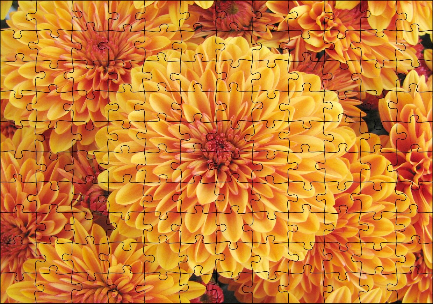 Turuncu Yıldız Çiçekleri Puzzle Yapboz MDF Ahşap 120 Parça 24 cm X 34 cm