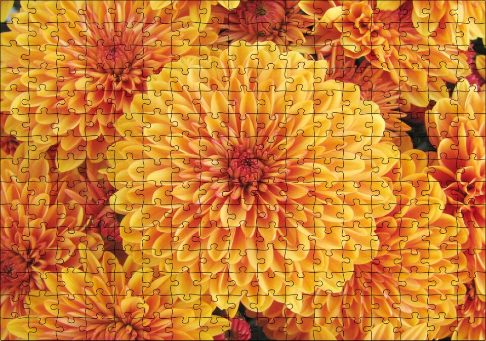 Turuncu Yıldız Çiçekleri Puzzle Yapboz MDF Ahşap 255 Parça 34 cm X 49 cm