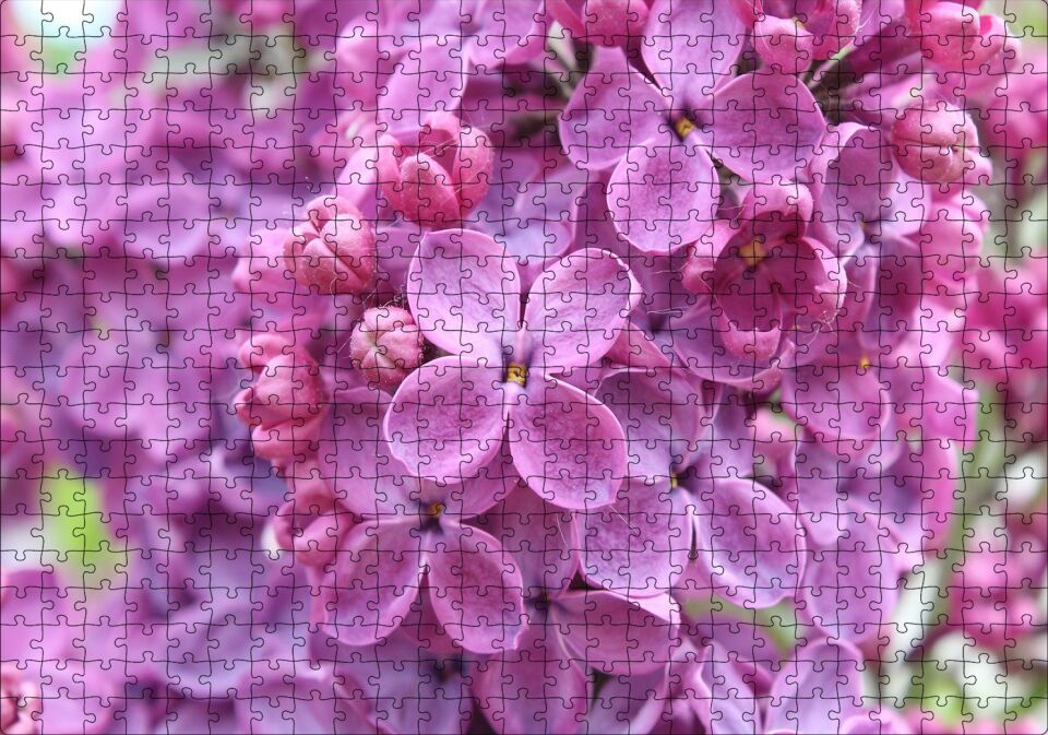 Mor Orkideler Görseli Puzzle Yapboz MDF Ahşap 500 Parça 49 cm X 68 cm