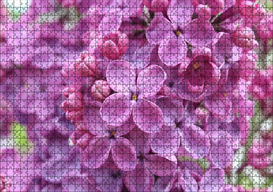 Mor Orkideler Görseli Puzzle Yapboz MDF Ahşap 1000 Parça 49 cm X 68 cm
