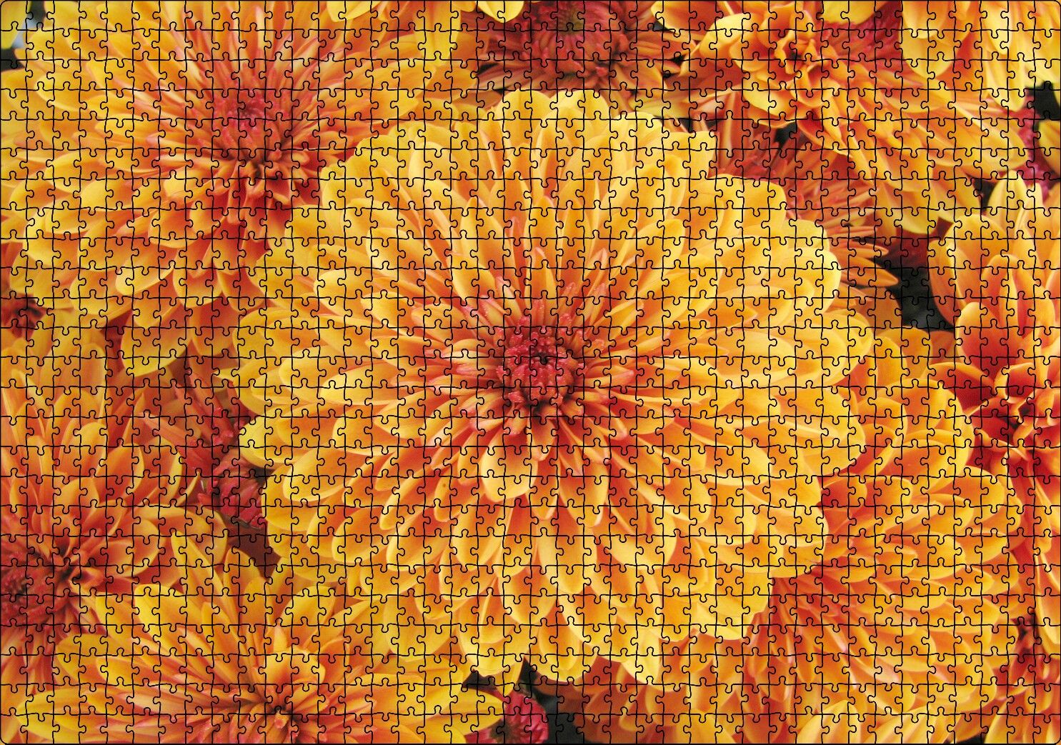 Turuncu Yıldız Çiçekleri Puzzle Yapboz MDF Ahşap 1000 Parça 49 cm X 68 cm