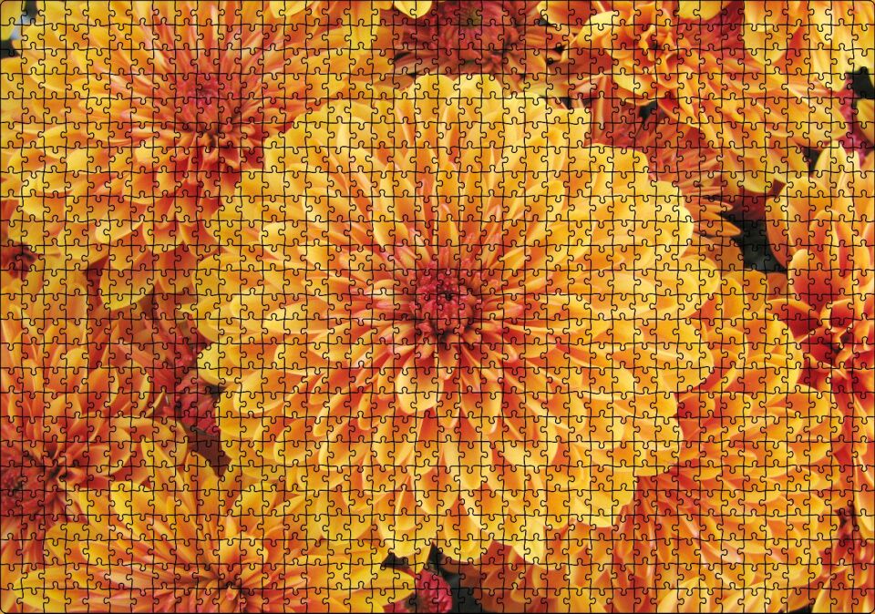 Turuncu Yıldız Çiçekleri Puzzle Yapboz MDF Ahşap 1000 Parça 49 cm X 68 cm