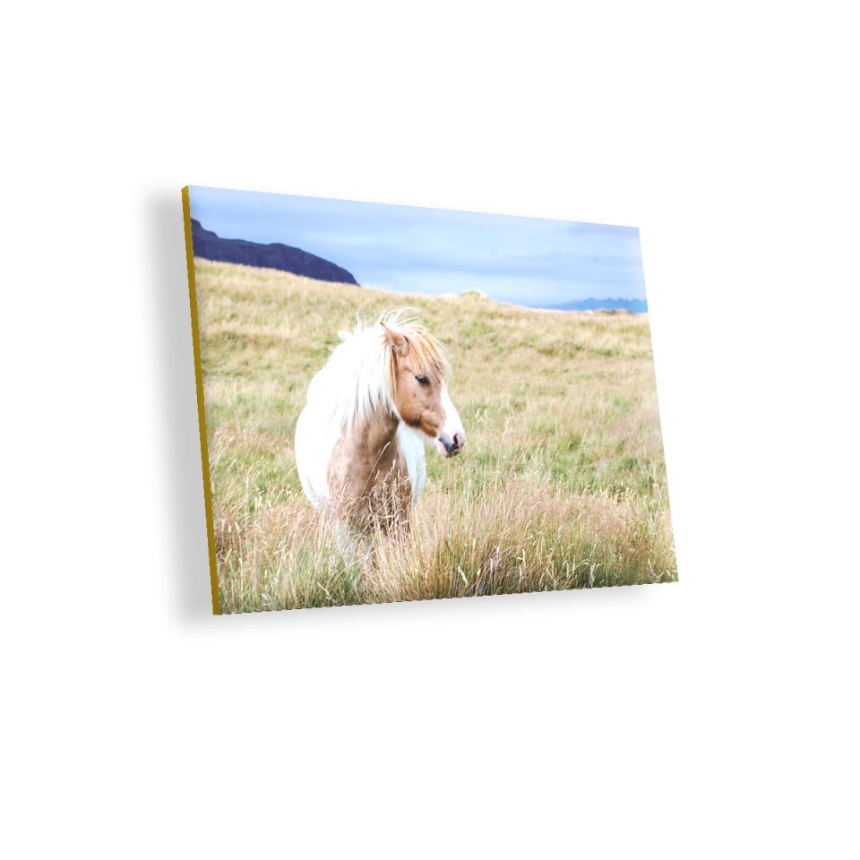 Beyaz Yeleli Midilli MDF Akşap Duvar Tablo 25x35 cm