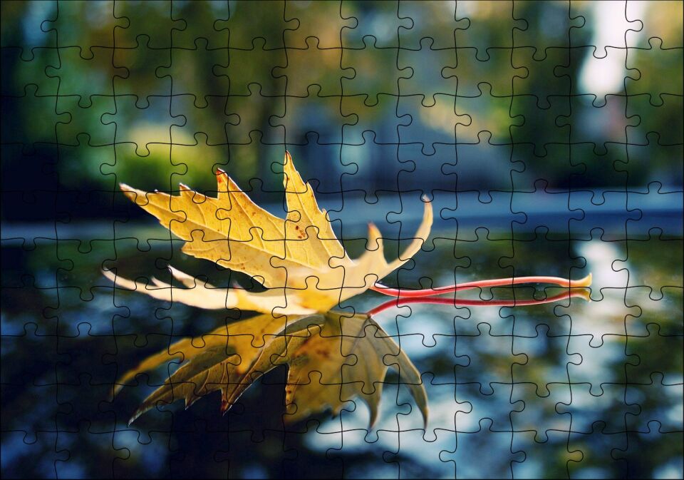 Sonbahar Yaprağı Yakın Çekim Görseli Puzzle Yapboz MDF Ahşap 120 Parça 24 cm X 34 cm