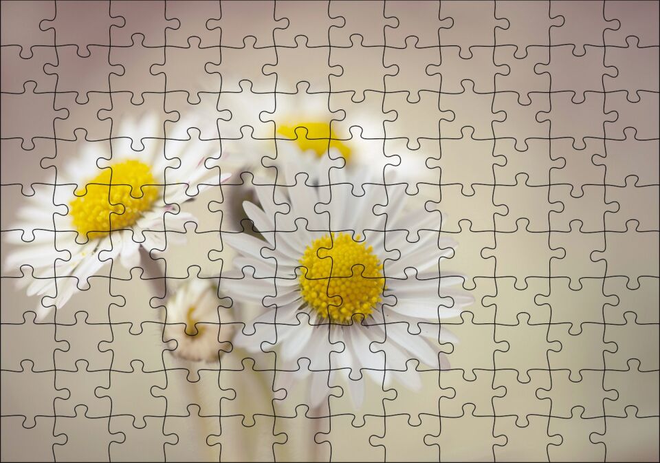 Üç Papatya Yakın Çekim Flu Arkaplan Puzzle Yapboz MDF Ahşap 120 Parça 24 cm X 34 cm