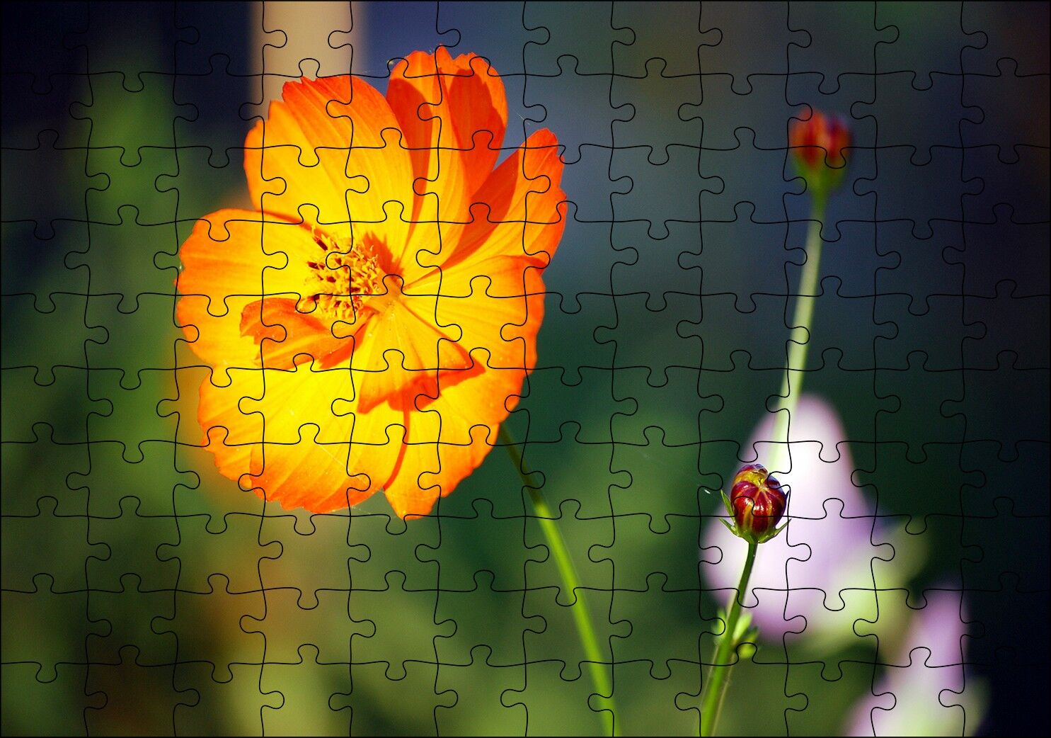 Yabani Portakal Çiçeği Puzzle Yapboz MDF Ahşap