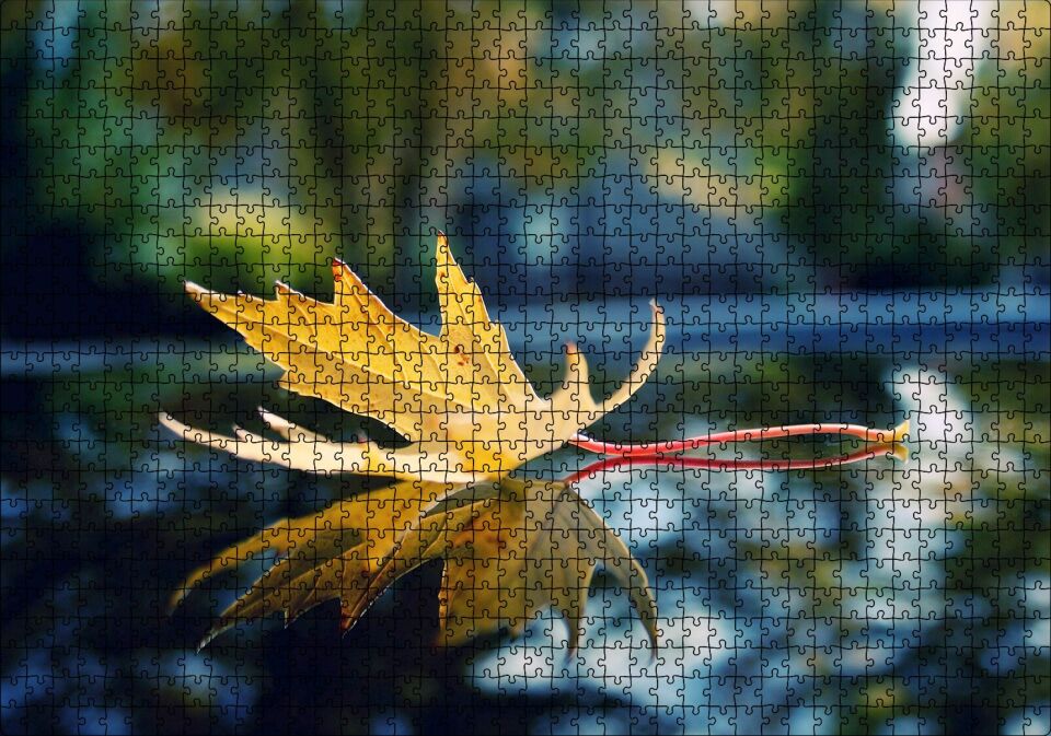 Sonbahar Yaprağı Yakın Çekim Görseli Puzzle Yapboz MDF Ahşap 1000 Parça 49 cm X 68 cm