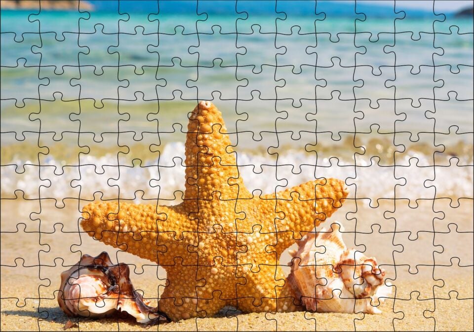 Deniz Yıldızı Deniz Kabukları ve Berrak Kumsal Puzzle Yapboz MDF Ahşap