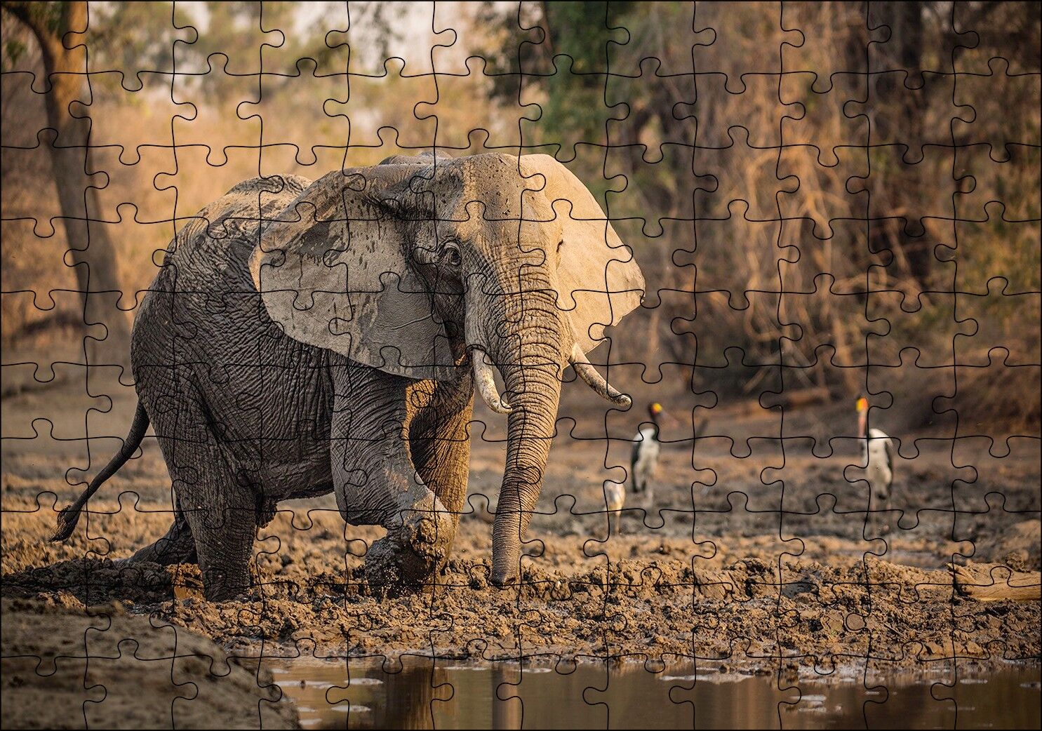 Çamur Banyosu Yapan Fil ve Arkada Leylekler Puzzle Yapboz MDF Ahşap