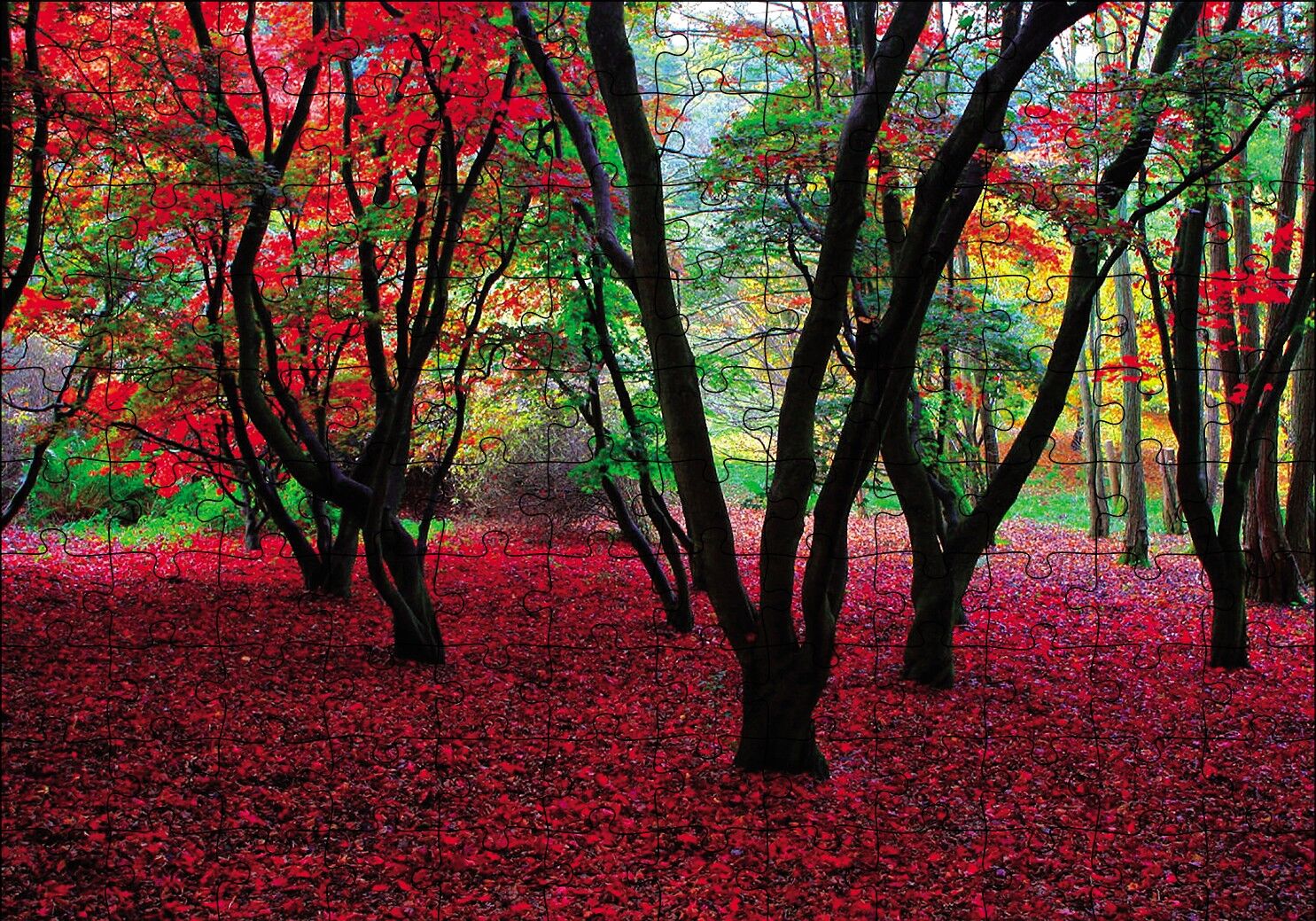 Büyülü Sonbahar Ormanı Puzzle Yapboz MDF Ahşap 120 Parça 24 cm X 34 cm