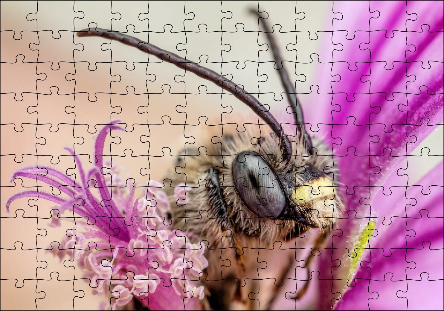 Eflatun Çiçeklerin Arasında Boynuzlu Arı Yakın Çekim Puzzle Yapboz MDF Ahşap 120 Parça 24 cm X 34 cm