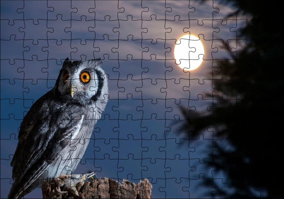 Dolunay ve Kütüğün Üzerindeki Baykuş Puzzle Yapboz MDF Ahşap