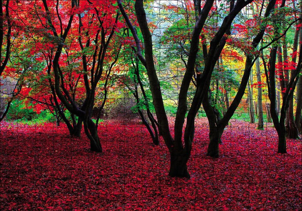 Büyülü Sonbahar Ormanı Puzzle Yapboz MDF Ahşap 255 Parça 34 cm X 49 cm