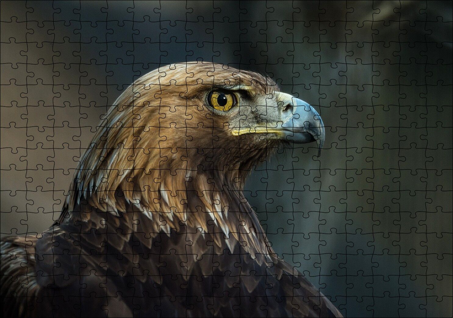 Kahverengi Kartal Mavi Gagalı Puzzle Yapboz MDF Ahşap 255 Parça 34 cm X 49 cm