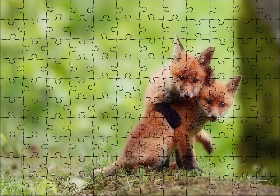 Çayırda Birbiriyle Oynayan Yavru Tilkiler Puzzle Yapboz MDF Ahşap