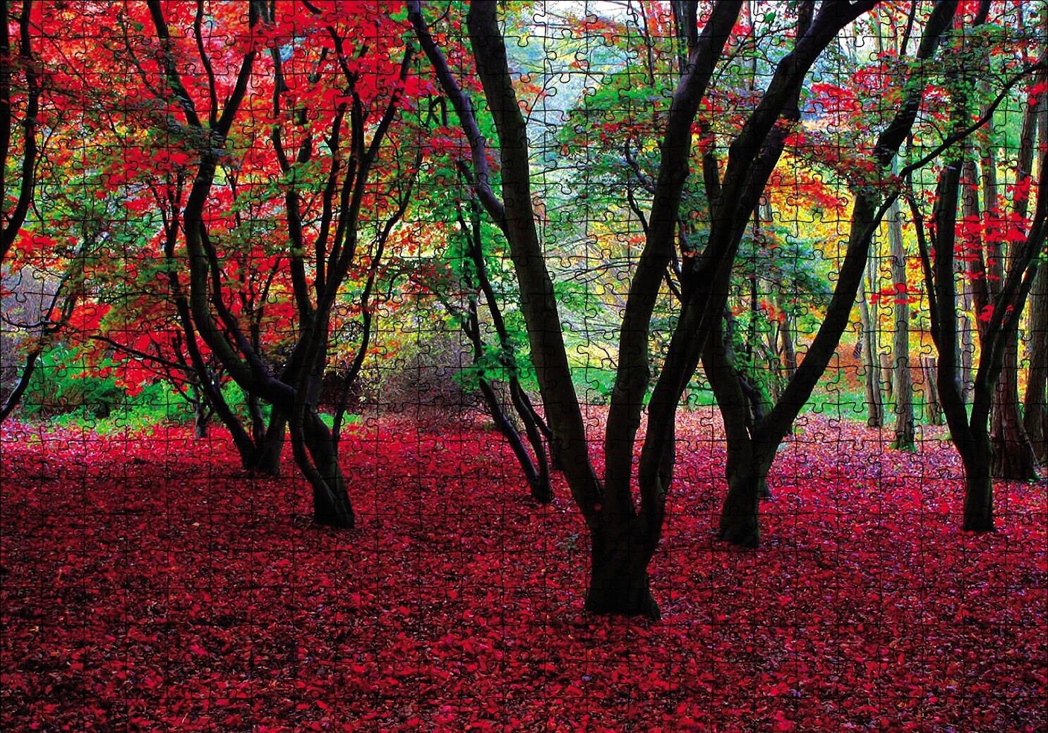 Büyülü Sonbahar Ormanı Puzzle Yapboz MDF Ahşap 500 Parça 49 cm X 68 cm