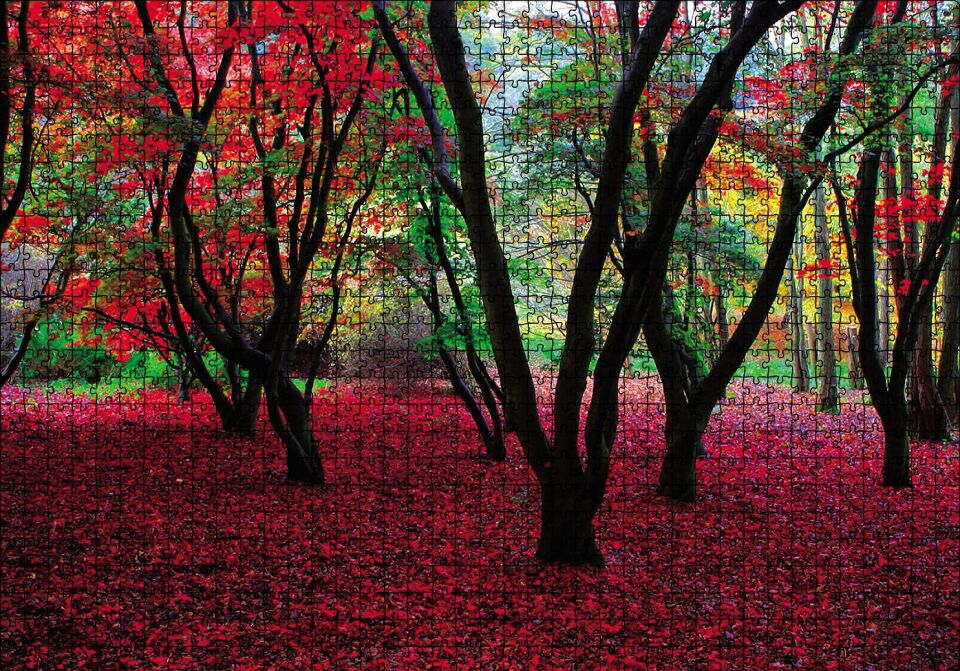Büyülü Sonbahar Ormanı Puzzle Yapboz MDF Ahşap 1000 Parça 49 cm X 68 cm