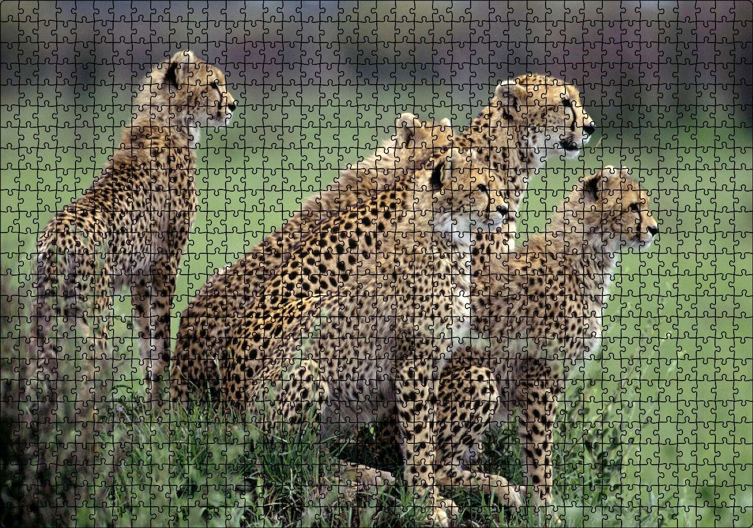 Yavrularına Eğitim Veren Anne Çita Puzzle Yapboz MDF Ahşap 1000 Parça 49 cm X 68 cm